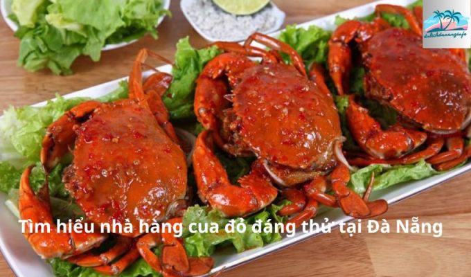 Tìm hiểu nhà hàng cua đỏ đáng thử tại Đà Nẵng